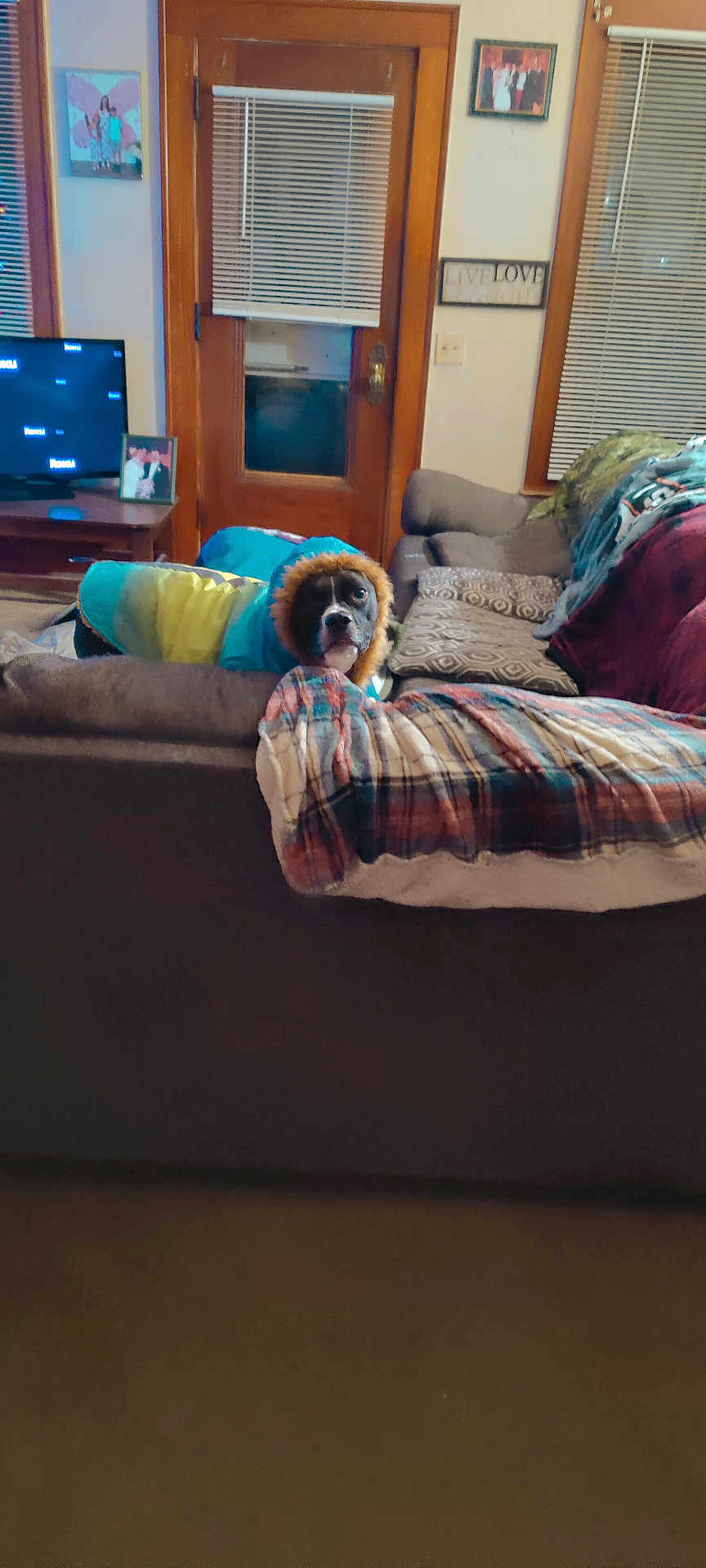 Bella