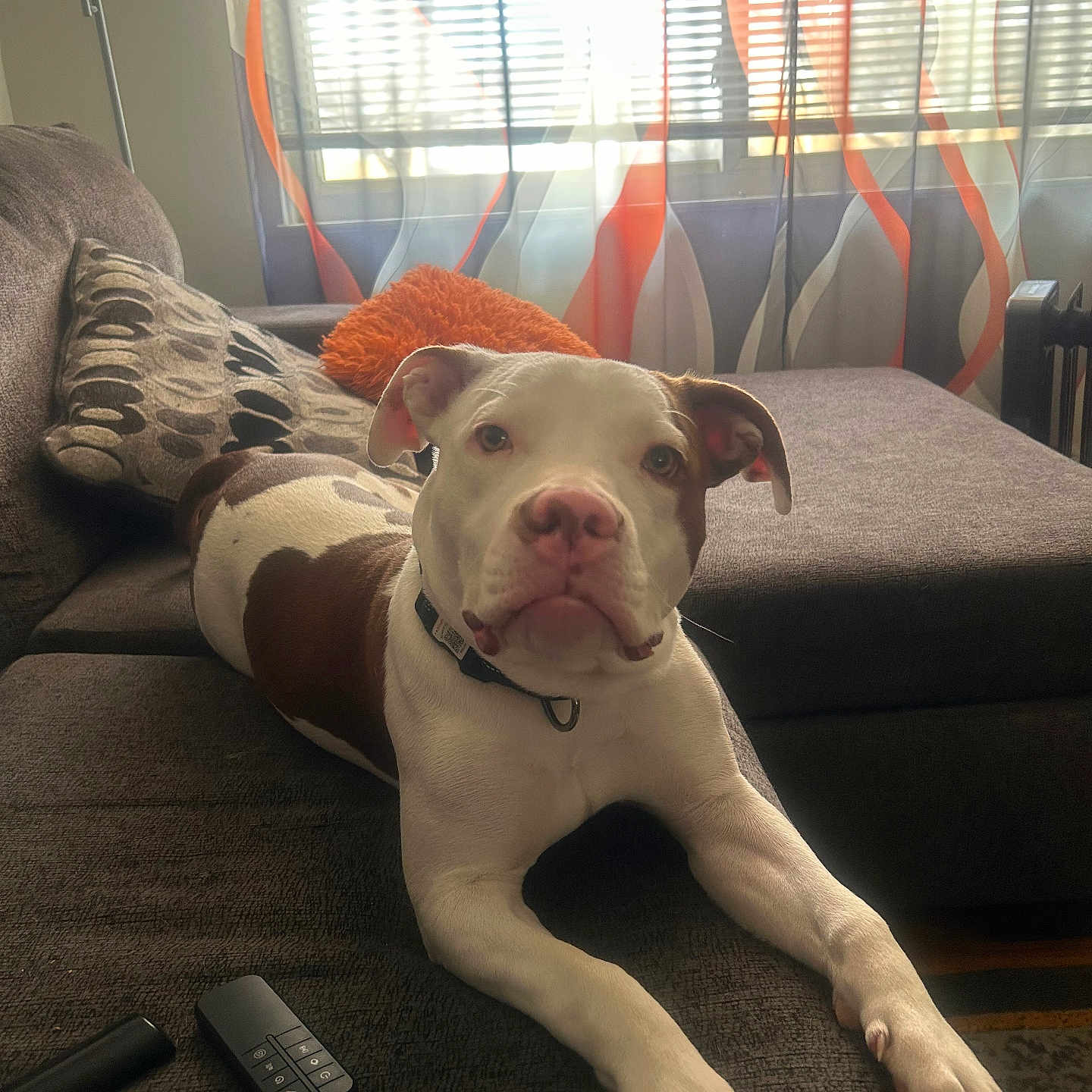 Bolt