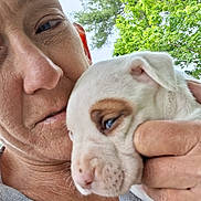 Chaos is registered to the contest to win money with this photo: person, dog, puppy, face, close_up, outdoor, greenery, tree, leaf, skin, hand, holding, pet, animal, companion, nature, daylight, expression, affection, portrait