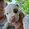 Chaos is registered to the contest to win money with this photo: puppy, dog, person, face, hand, outdoor, greenery, tree, leaf, nature, pet, closeup, smile, skin, fur, eye, nose, paw, shirt, daylight