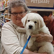 Arlo joined the competition — help win amazing prizes! woman, glasses, puppy, dog, pet_store, pet_food, leash, white_dog, smile, holding, indoor, shelf, shopping, store, animal, cute, friendly, fur, happy, person