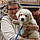 Arlo