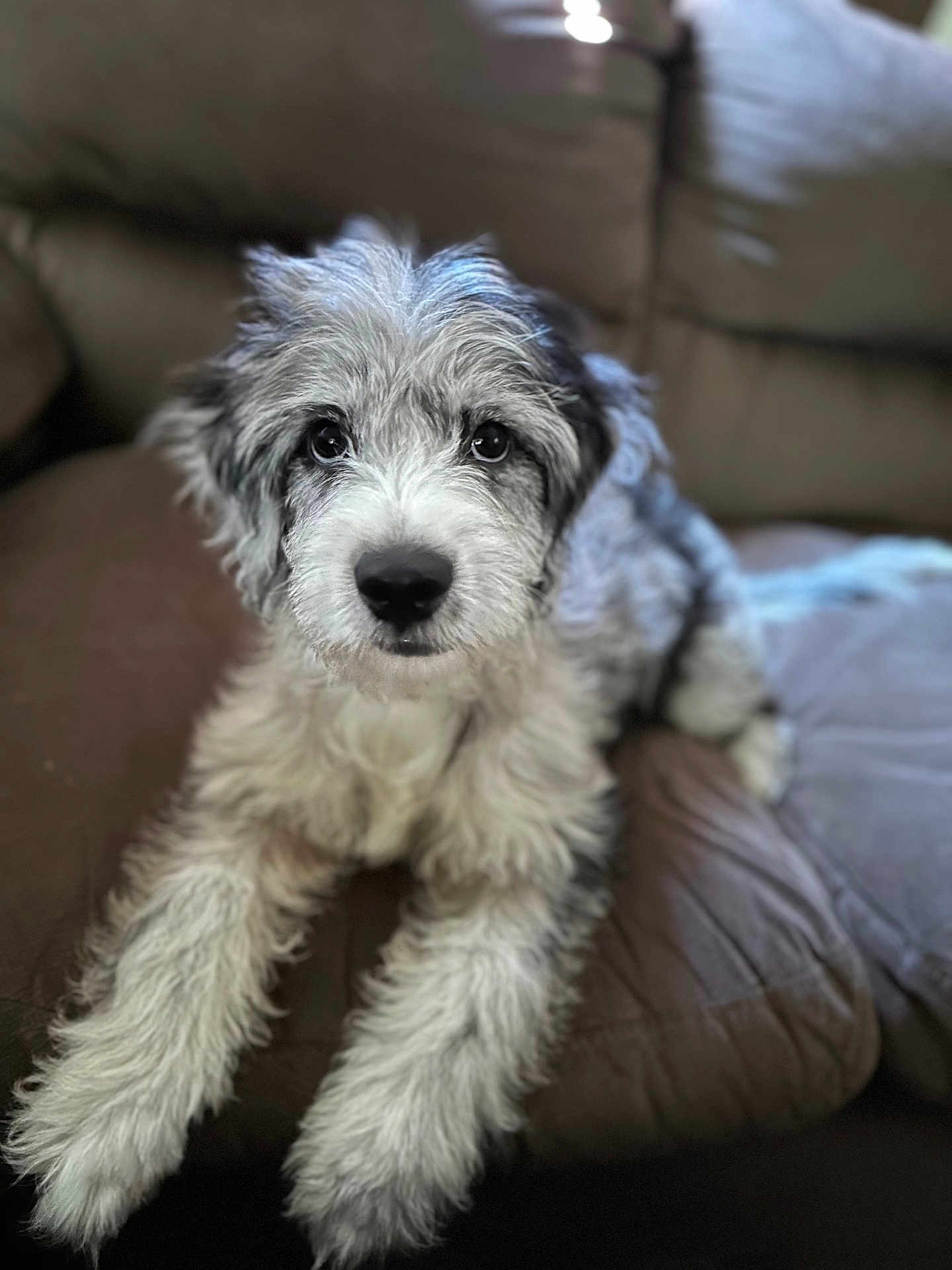 Tyson