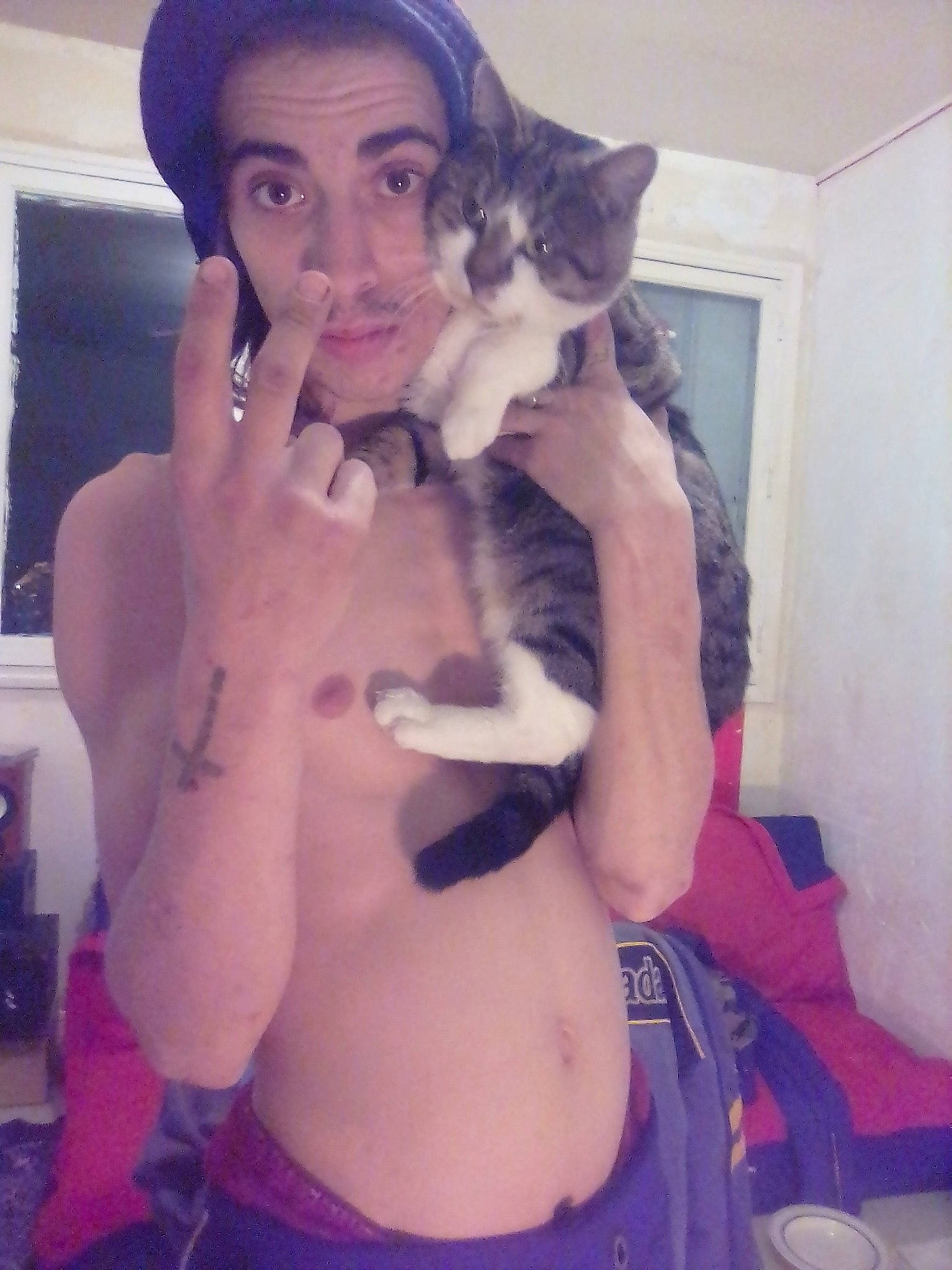 Mistigris a rejoint le concours — aidez-le/la à gagner de superbes lots ! abdomen, carnivore, cat, chest, ear, felidae, fur, jaw, kitten, long_hair, muscle, photography, selfie, small_to_medium_sized_cats, trunk, whiskers