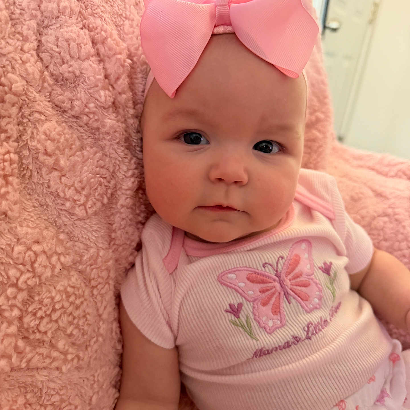 Ava joined the competition — help win amazing prizes! baby, child, infant, portrait, face, pink, bow, hair_accessory, butterfly, outfit, blanket, soft, sitting, reclining, indoors, home, adorable, wide_eyed, textile, photography