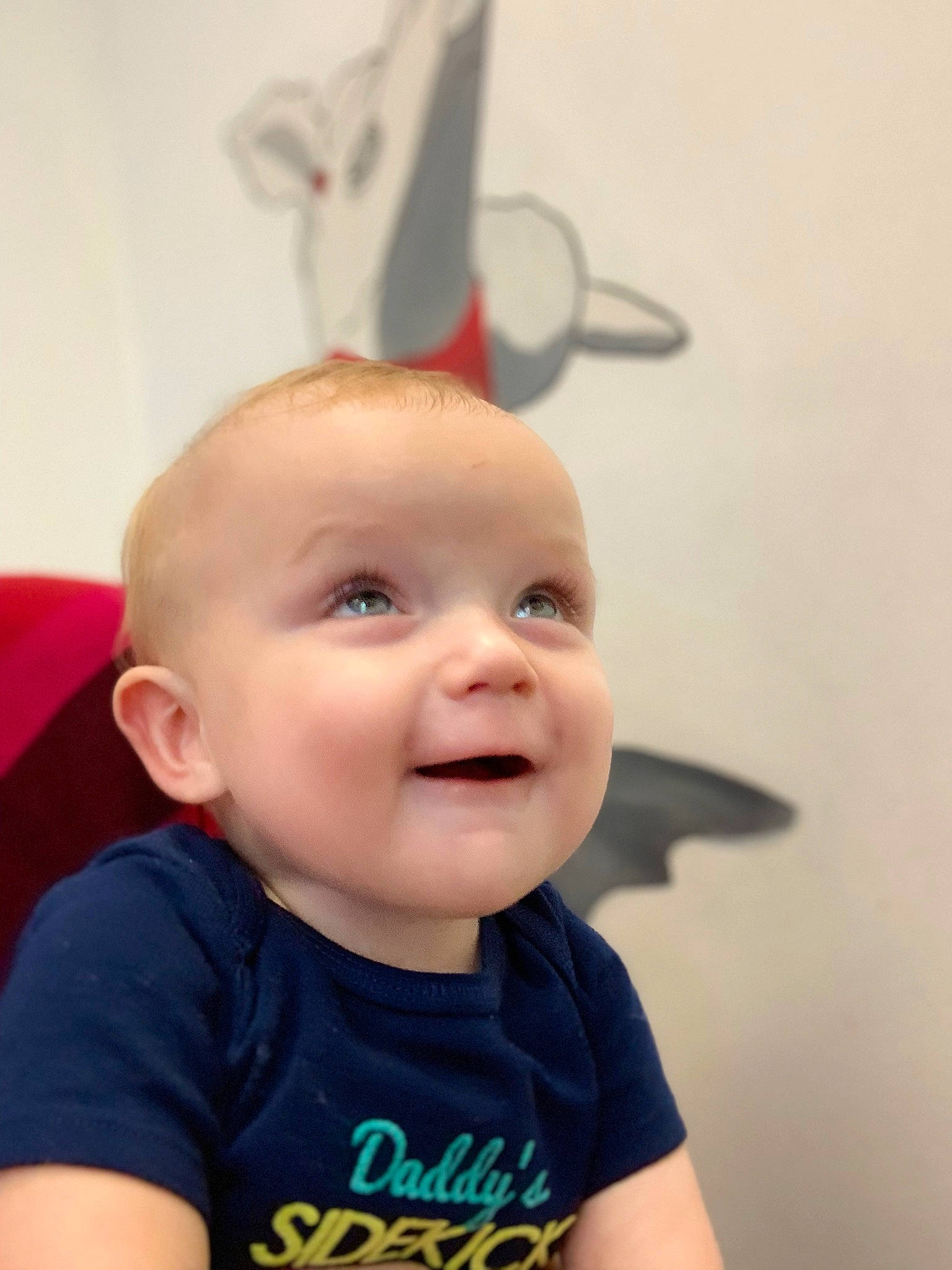 Liam is registered to the contest to win money with this photo: baby, baby_toddler_clothing, cheek, chin, clothing, ear, eye, eyebrow, face, hairstyle, happy, iris, lip, neck, nose, person, product, skin, sleeve, smile