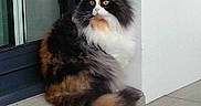 EGLANTINE participe au concours pour gagner de l'argent avec cette photo :