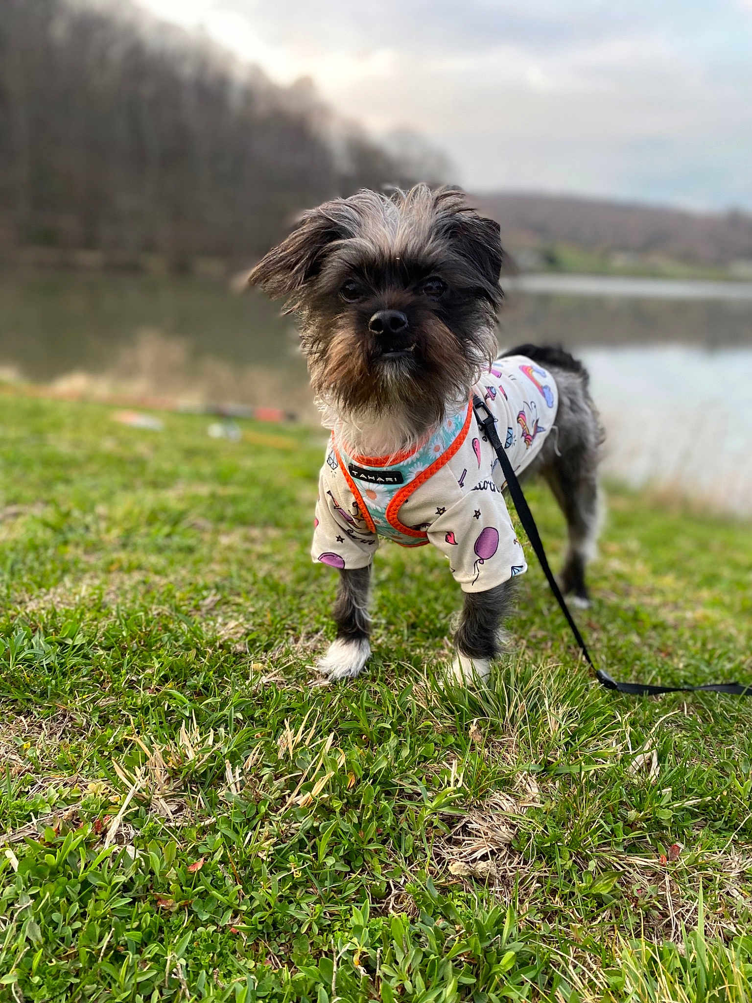 Ellie Mae