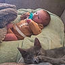 baby, infant, pacifier, blanket, green_blanket, brown_onesie, football_design, cat, gray_cat, pet, sofa, couch, indoor, relaxing, sleepy_cat, cozy, soft_texture, child, cute, resting