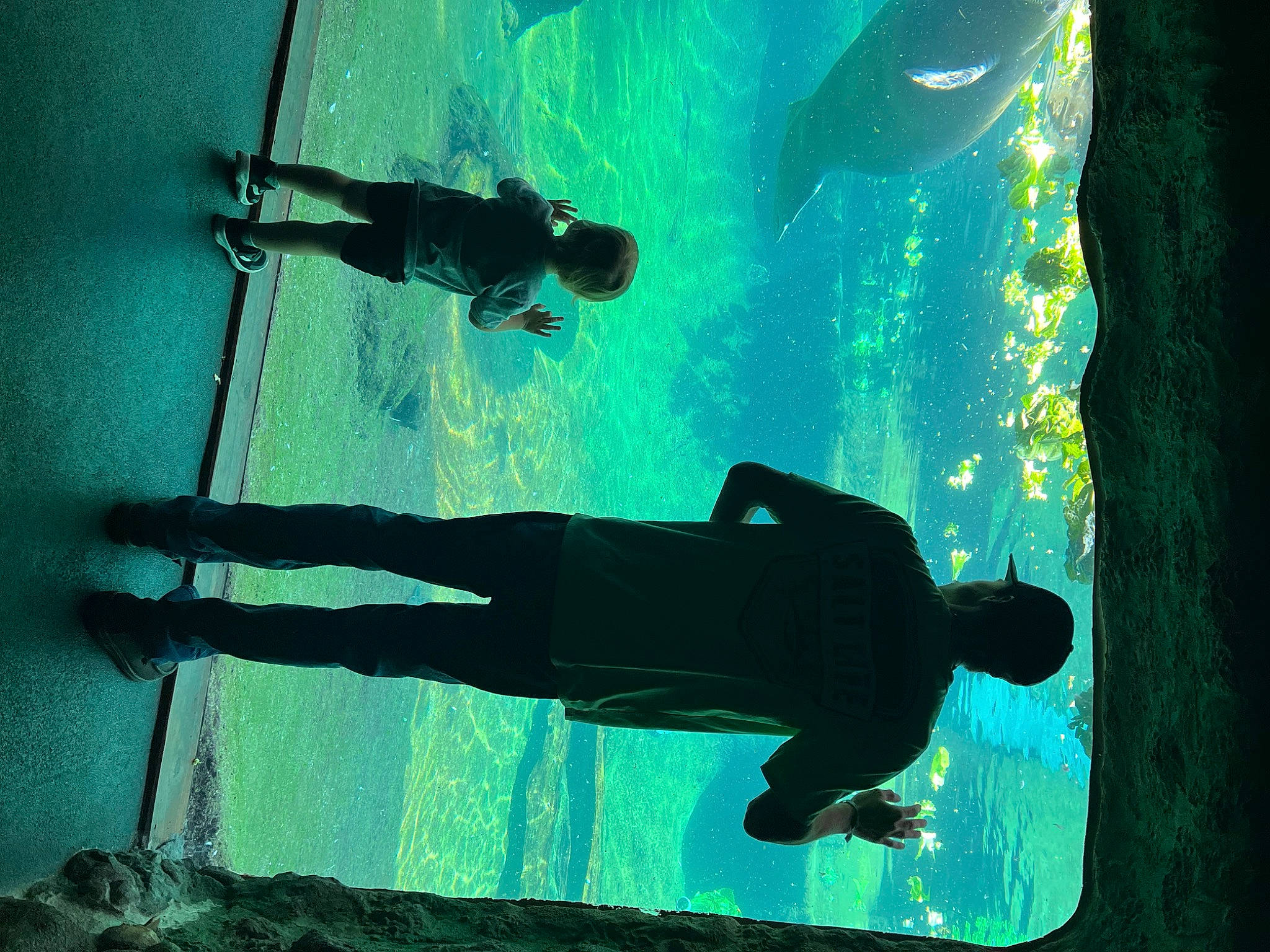 Kamden joined the competition — help win amazing prizes! art, azure, elbow, electric_blue, fun, leisure, light, line, organism, person, recreation, shadow, swimming_pool, tints_and_shades, under_exposed, underwater, visual_arts, water