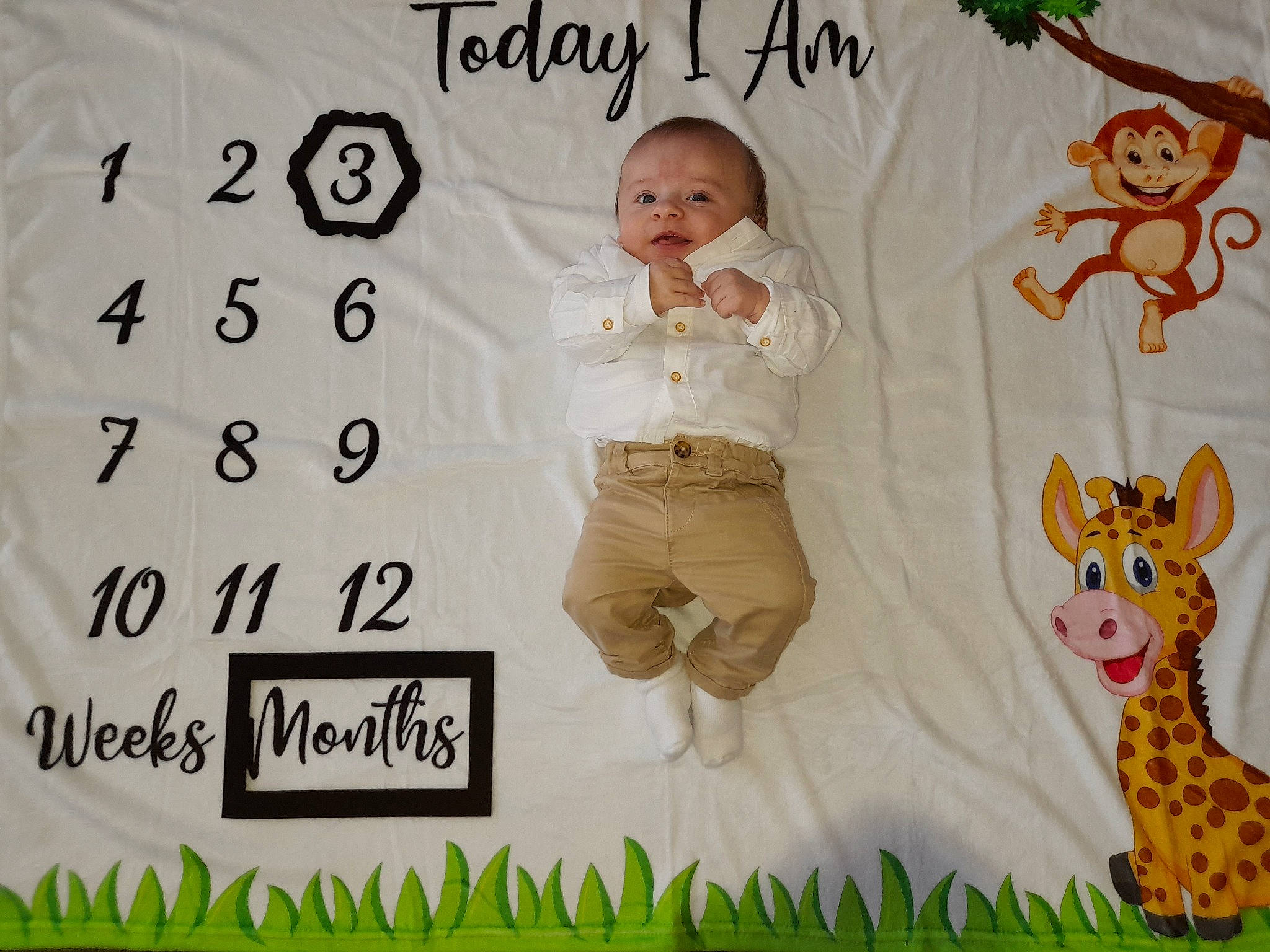 Jamie a rejoint le concours — aidez-le/la à gagner de superbes lots ! adaptation, art, baby, baby_toddler_clothing, child, facial_expression, font, green, happy, linens, mammal, organism, pattern, people_in_nature, person, product, rectangle, sleeve, t_shirt, textile