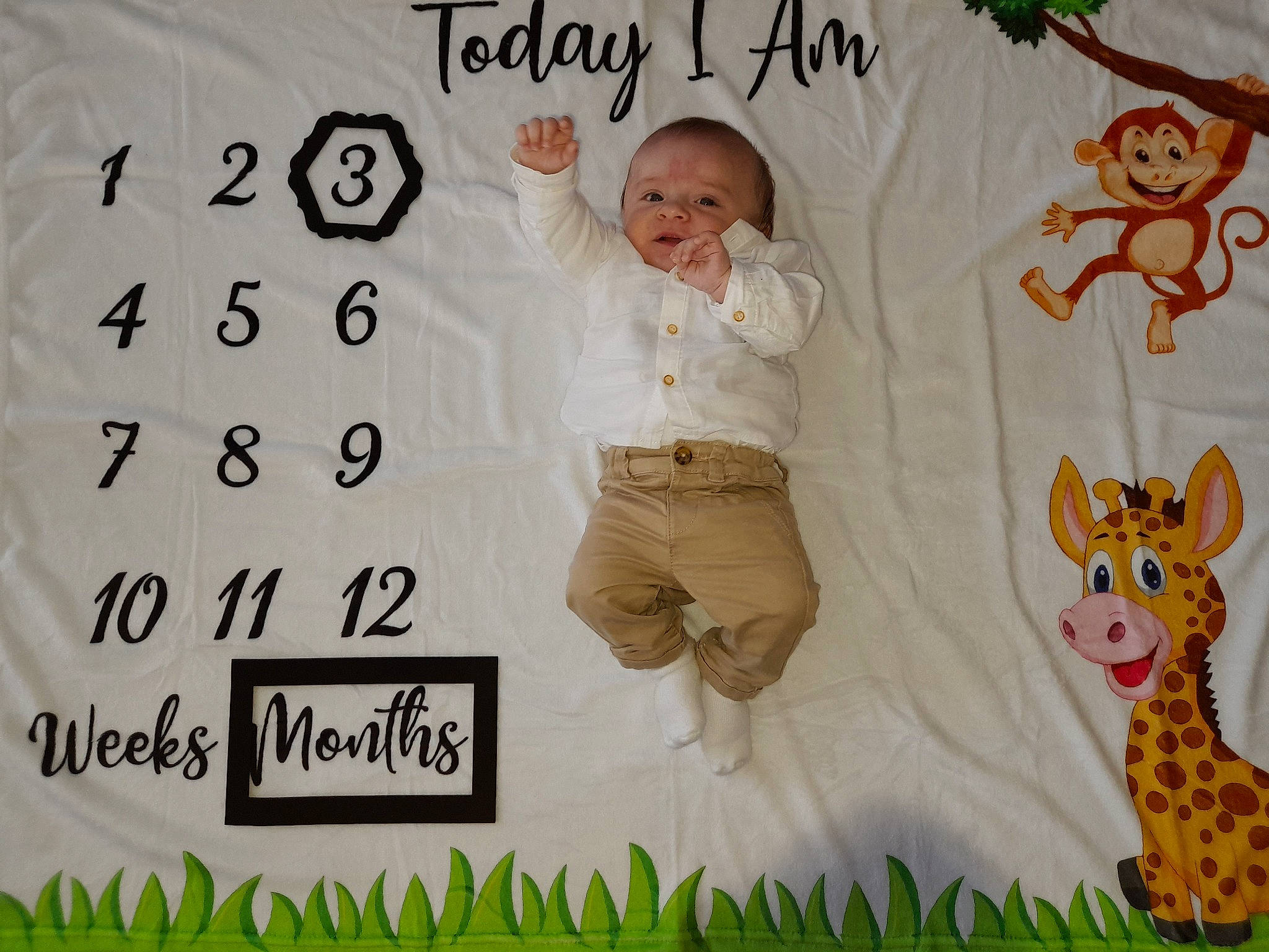 Jamie participe au concours pour gagner de l'argent avec cette photo : adaptation, art, baby, baby_toddler_clothing, fawn, font, green, happy, mammal, organism, pattern, people_in_nature, person, plant, product, rectangle, room, sleeve, smile, textile