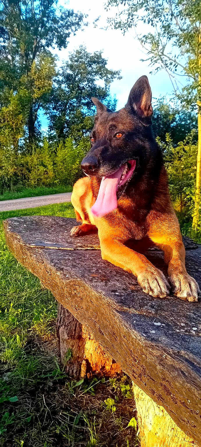 Onyx