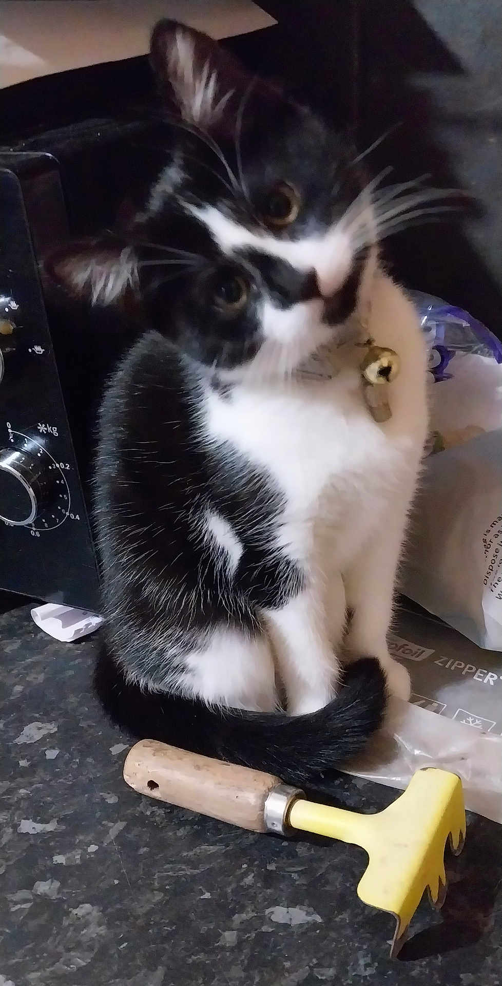 Dora