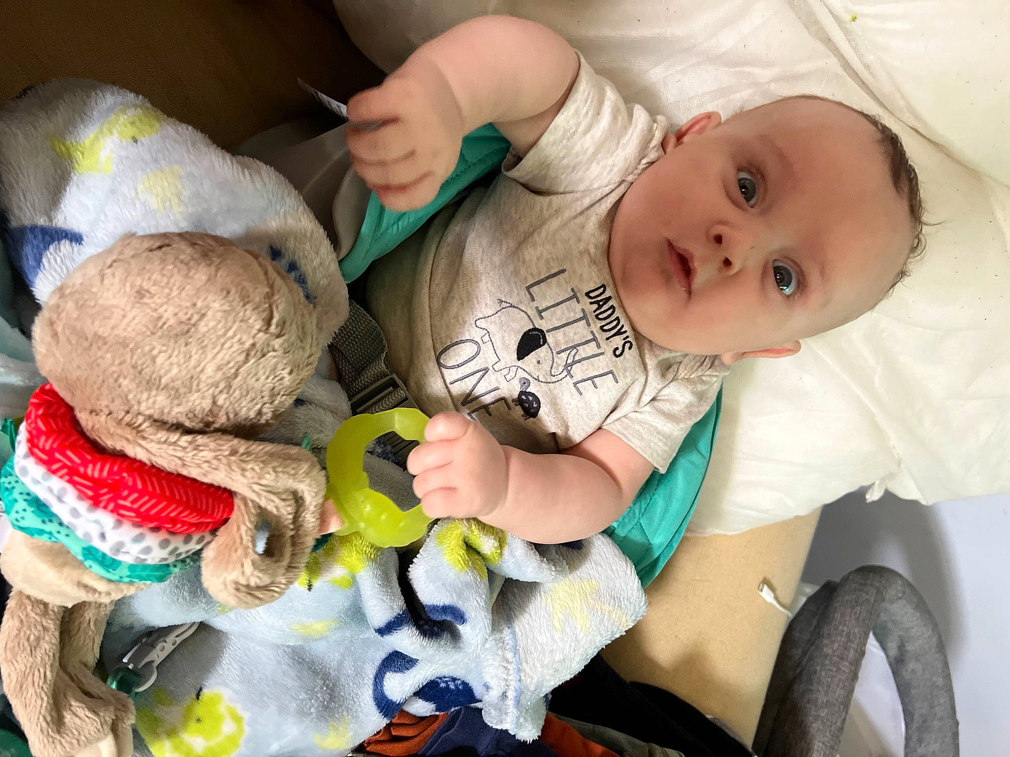 Jax is registered to the contest to win money with this photo: arm, baby, baby_carriage, baby_products, baby_safety, baby_toddler_clothing, cheek, child, comfort, finger, hand, human_body, person, skin, stuffed_toy, surprise, textile, thumb, tire, toddler
