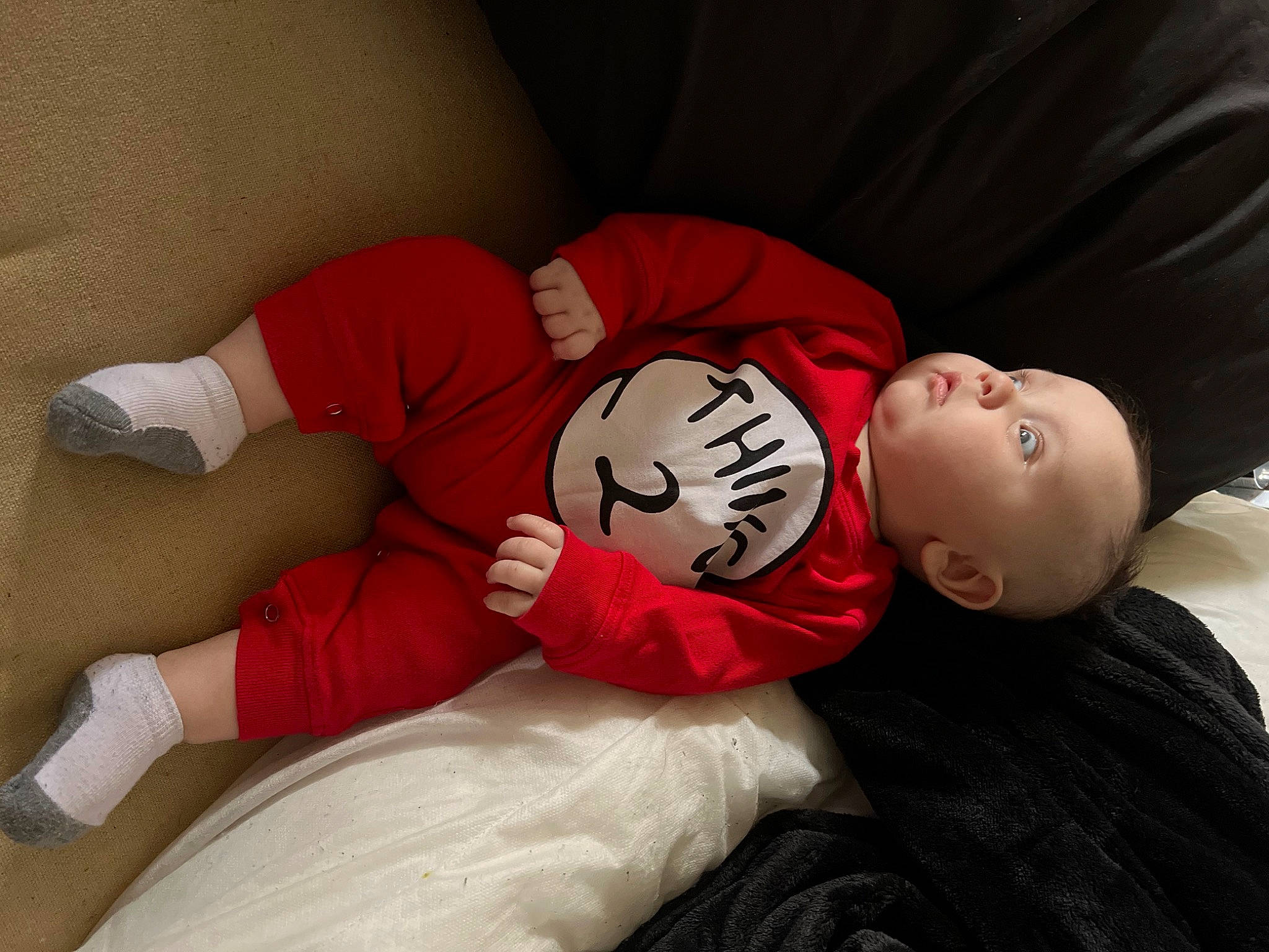 Jax is registered to the contest to win money with this photo: carmine, comfort, doll, elbow, flooring, happy, human_leg, joint, knee, leg, person, plush, room, sitting, sock, stuffed_toy, teddy_bear, textile, thigh, toy