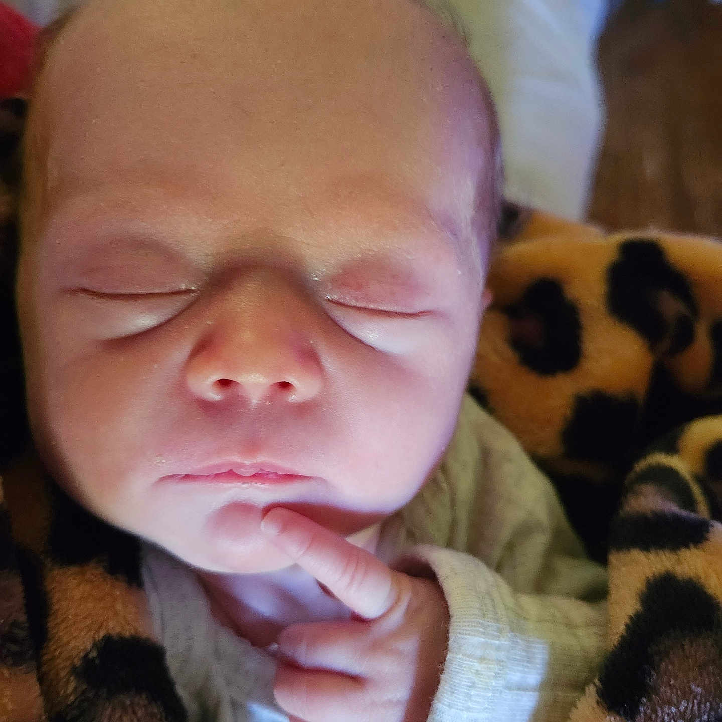 Tatum is registered to the contest to win money with this photo: animal, baby, blanket, bodypart, canine, couch, cushion, dog, face, finger, furniture, hand, head, newborn, person, pet, photography, portrait, quilt, sleeping