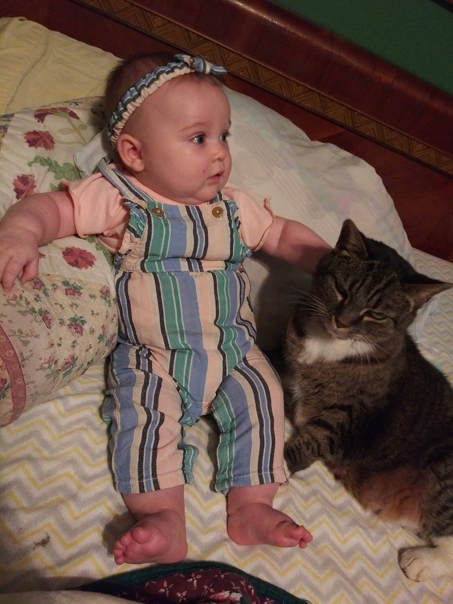 Kenzie joined the competition — help win amazing prizes! baby, baby_products, baby_toddler_clothing, bedding, cat, child, comfort, domestic_short_haired_cat, facial_expression, felidae, lap, linens, pattern, person, room, sitting, skin, sleeve, small_to_medium_sized_cats, toddler