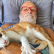 Rox participe au concours pour gagner de l'argent avec cette photo : arm, bed, cat, closeup, comfort, curious, face, feline, glasses, home, human, indoor, kitten, lying_down, man, orange_and_white_cat, pet, pillow, resting, tattoo