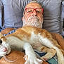 arm, bed, cat, closeup, comfort, curious, face, feline, glasses, home, human, indoor, kitten, lying_down, man, orange_and_white_cat, pet, pillow, resting, tattoo