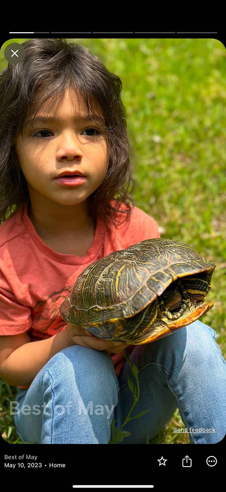 Chloe joined the competition — help win amazing prizes! adaptation, bangs, botany, child, eyelash, geoemydidae, grass, happy, painted_turtle, people_in_nature, person, pond_turtle, reptile, river_cooter, sitting, terrestrial_animal, toddler, tortoise, trachemys, turtle