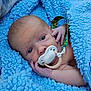 baby, newborn, pacifier, blanket, blue, infant, wrapped, cute, hand, face, skin, sleeping, cozy, soft, child, portrait, indoors, closeup, peaceful, resting