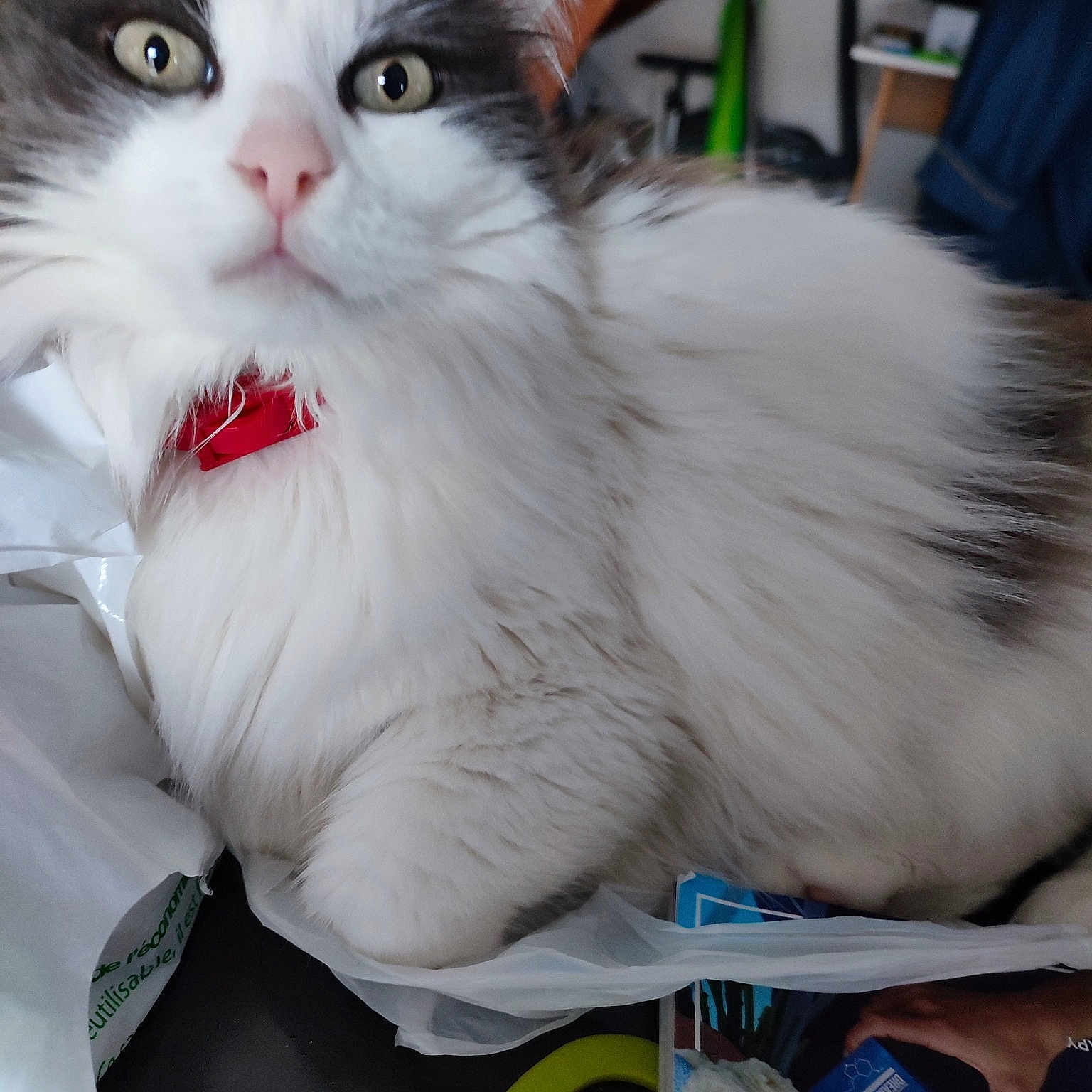 Marilyn