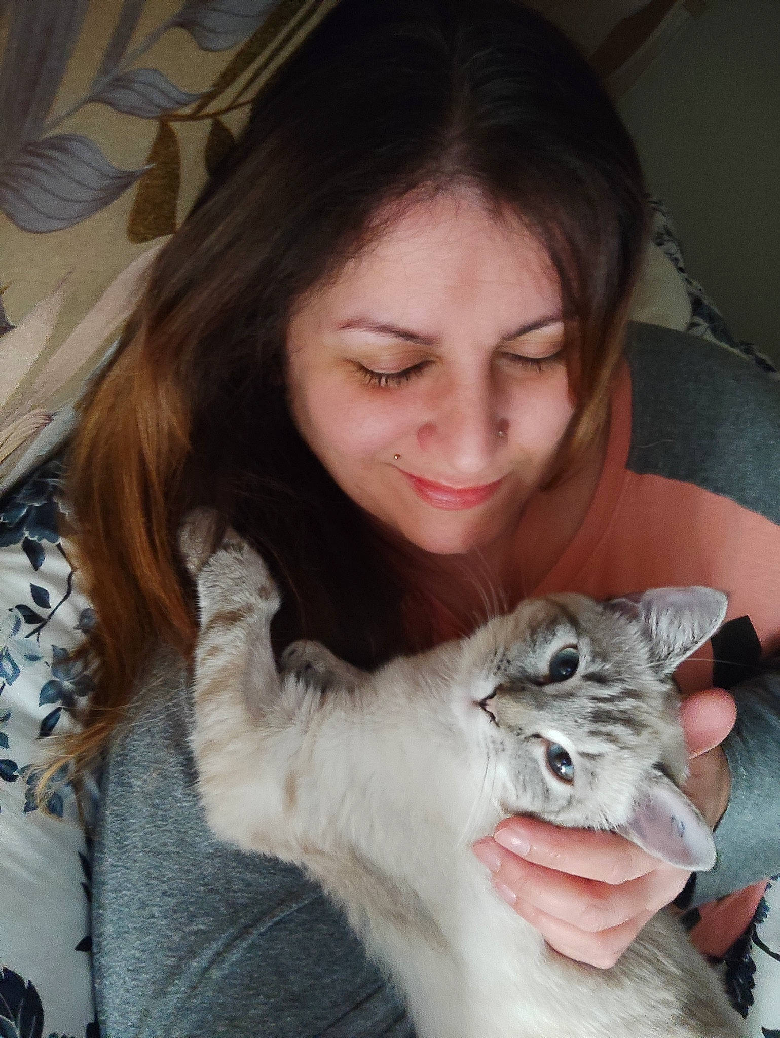 Miù a rejoint le concours — aidez-le/la à gagner de superbes lots ! bangs, carnivore, cat, companion_dog, domestic_short_haired_cat, ear, eyelash, fawn, felidae, fur, happy, jaw, mouth, neck, paw, skin, small_to_medium_sized_cats, smile, snout, whiskers