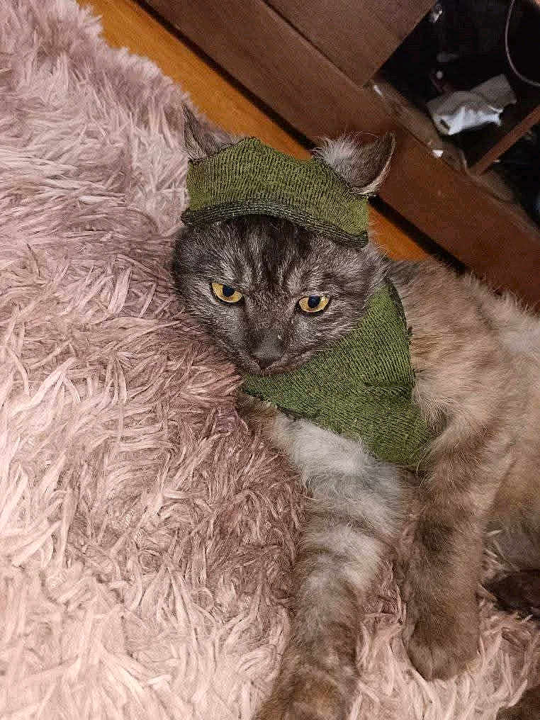 Grey