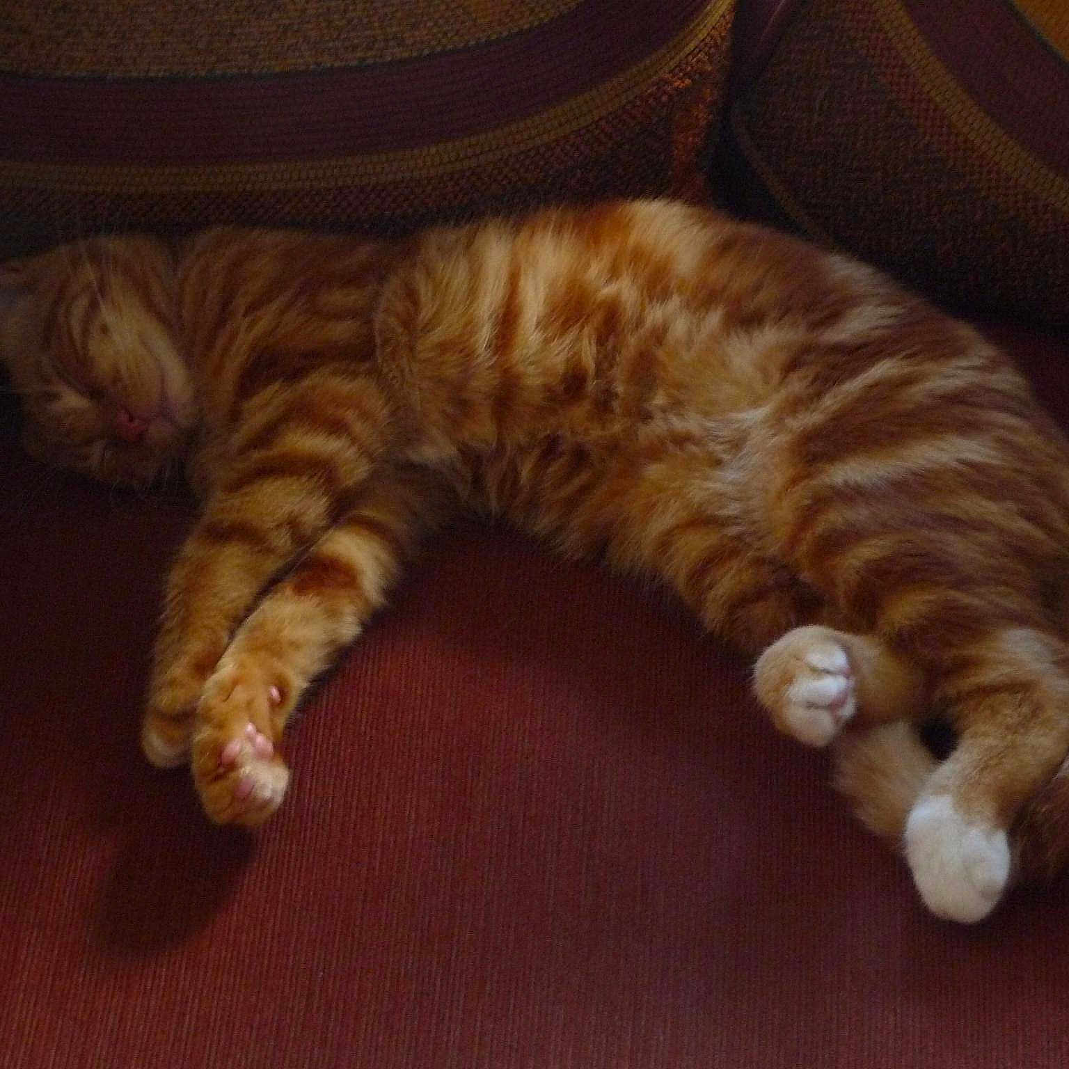 Tigrou