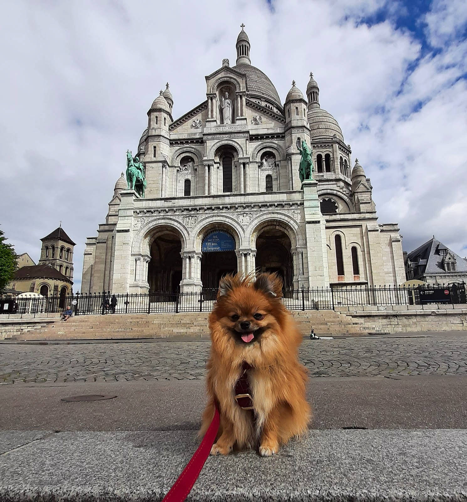 Udûn participe au concours pour gagner de l'argent avec cette photo : arcade, building, carnivore, city, cloud, companion_dog, dog, dog_breed, facade, fawn, fur, german_spitz, road_surface, sky, snout, sporting_group, street, toy_dog, travel, tree