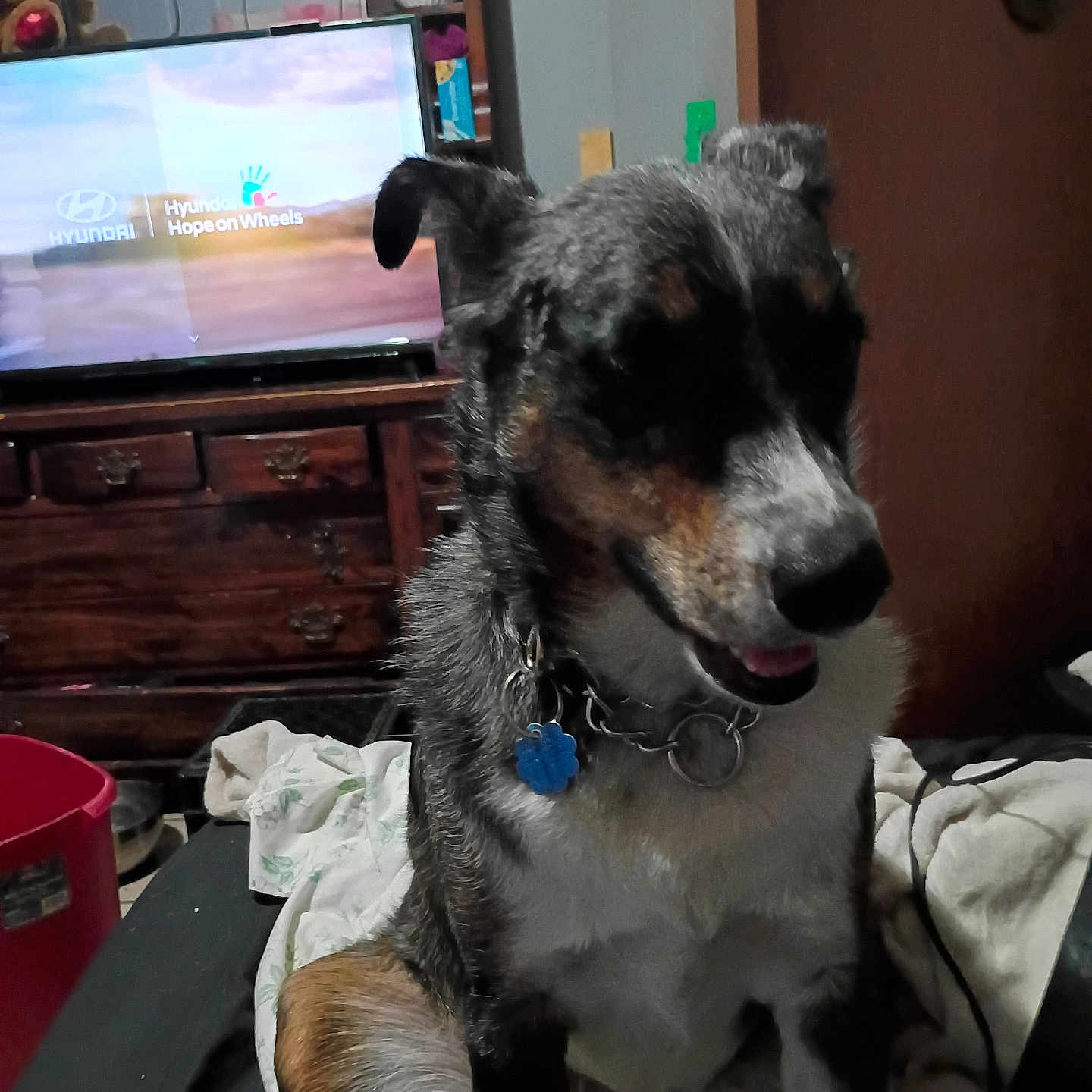 Rosie