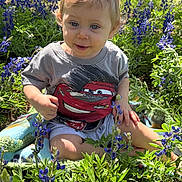 Charlie is registered to the contest to win money with this photo: toddler, child, flowers, outdoor, sunlight, greenery, plants, purple_flowers, shorts, tshirt, blanket, sitting, nature, cute, happy, young_child, portrait, daylight, garden, casual_clothing