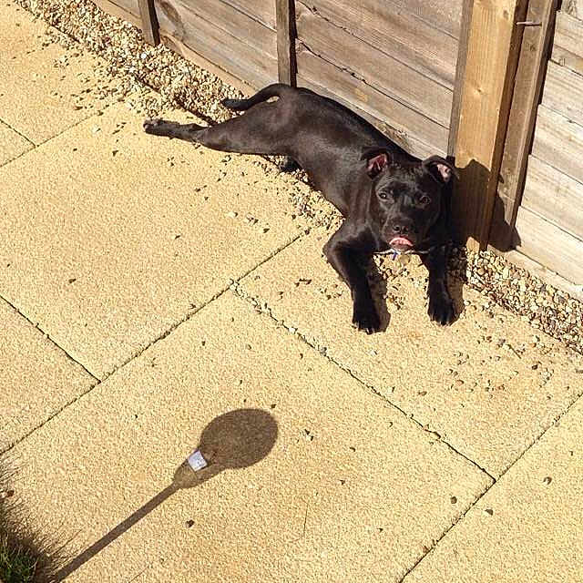 Holly joined the competition — help win amazing prizes!