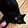 Amy