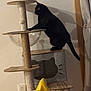 black_cat, cat_tree, indoor, pet, furniture, curtain, wall, yellow_blanket, scratching_post, platform, playful, domestic_cat, shadow, wooden_shelf, cozy, home, animal, paw, tongue_out, relaxed