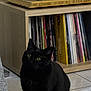 black_cat, cat, indoor, bookshelf, vinyl_records, floor, tile_floor, pet, animal, feline, curious, sitting, closeup, domestic_cat, furniture, home, quiet, cozy, eyes, ears
