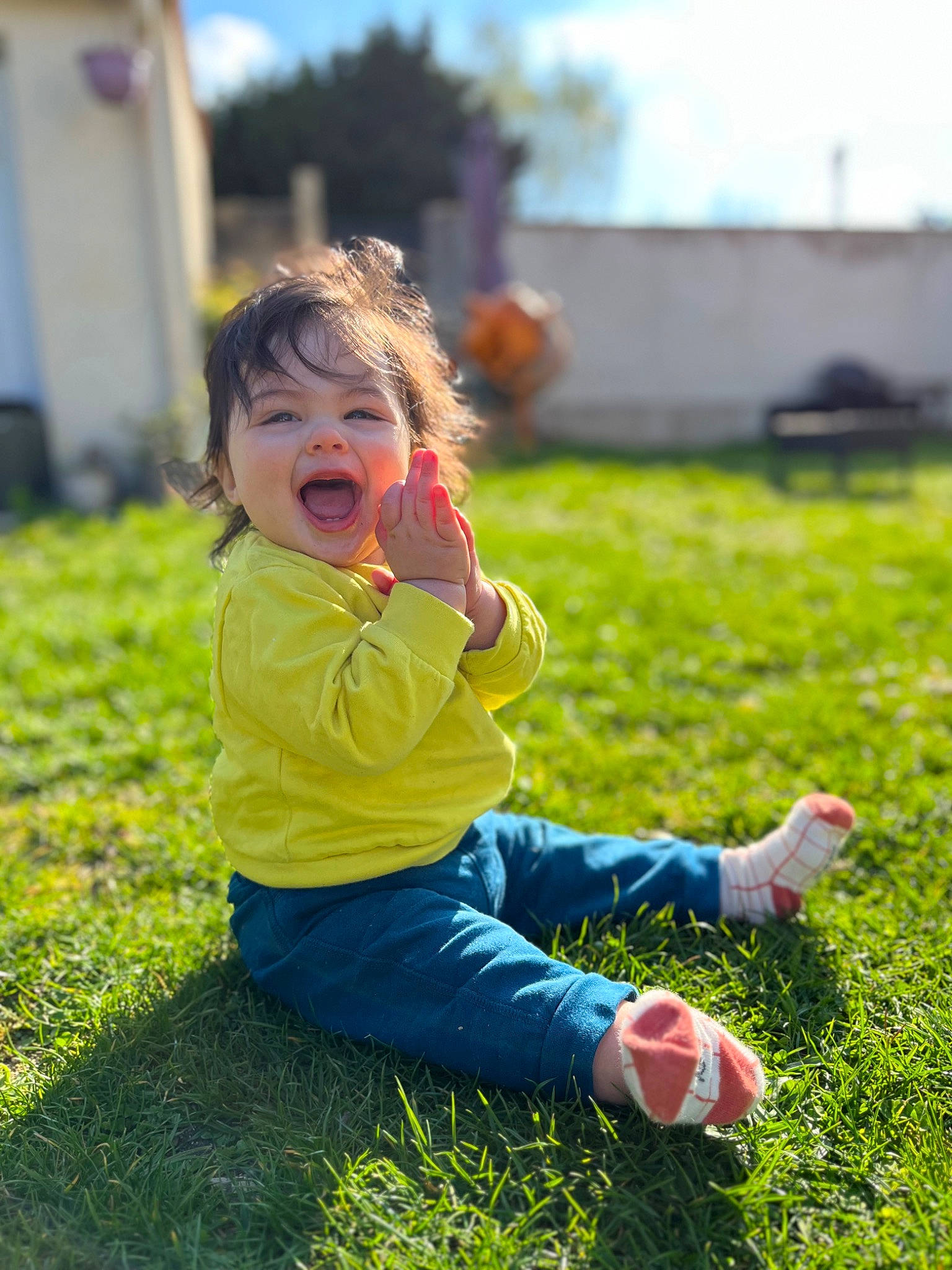 Lenny a rejoint le concours — aidez-le/la à gagner de superbes lots ! baby_toddler_clothing, child, grass, grass_family, grassland, happy, jeans, lawn, leaf, leisure, meadow, people_in_nature, person, plant, recreation, sky, smile, summer, sunlight, toddler