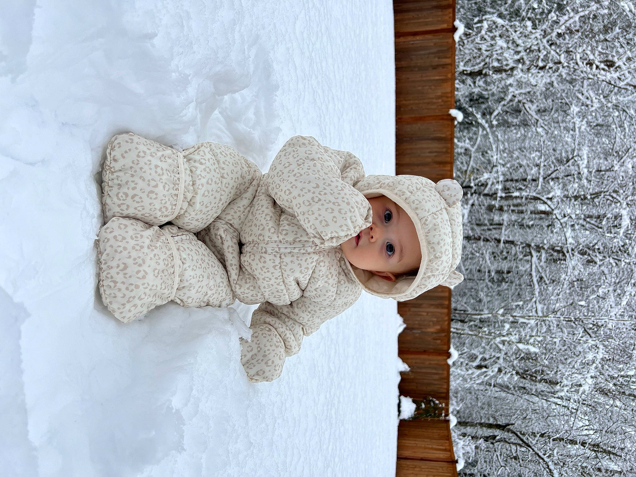 Lilianna joined the competition — help win amazing prizes! baby, cap, child, comfort, eye, freezing, fur, happy, hat, headgear, headwear, knit_cap, linens, pattern, person, snow, sun_hat, toddler, tree, winter