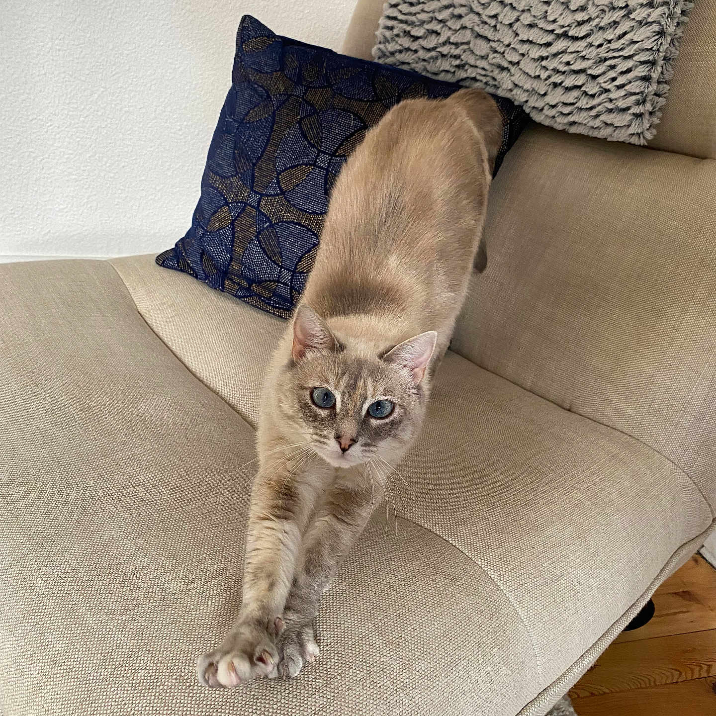 Kiki