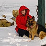 child, german_shepherd, dog, snow, winter, outdoor, red_coat, hood, sitting, portrait, pet, animal, snowy_landscape, rocks, wooden_post, chain, cold_weather, smiling, family_pet, playful