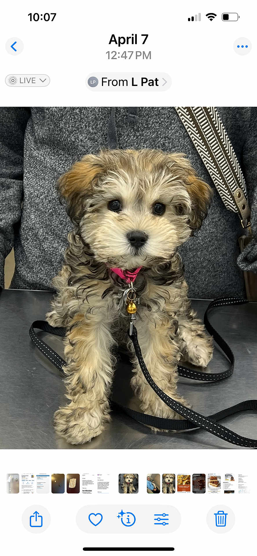 Minnie