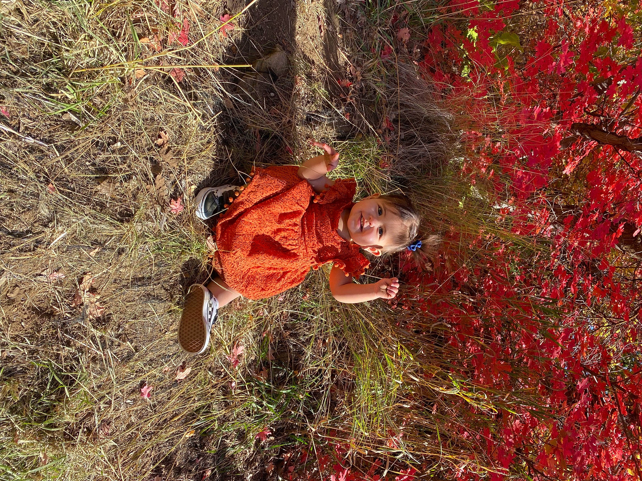 Malina is registered to the contest to win money with this photo: adventure, branch, deciduous, flower, fun, grass, joy, landscape, leisure, natural_landscape, organism, people_in_nature, person, plant, shrub, soil, toddler, tree, trunk, twig