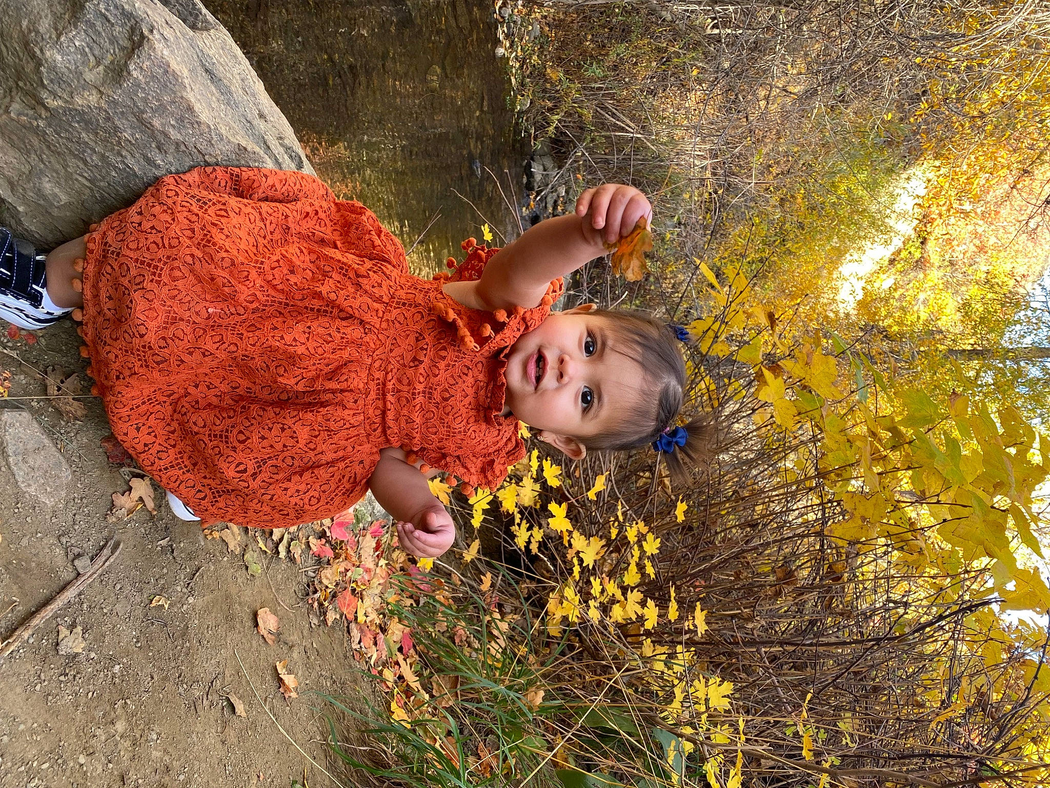 Malina is registered to the contest to win money with this photo: autumn, child, deciduous, eye, flash_photography, flower, fun, grass, happy, landscape, leisure, natural_landscape, people_in_nature, person, plant, portrait_photography, rock, smile, soil, toddler