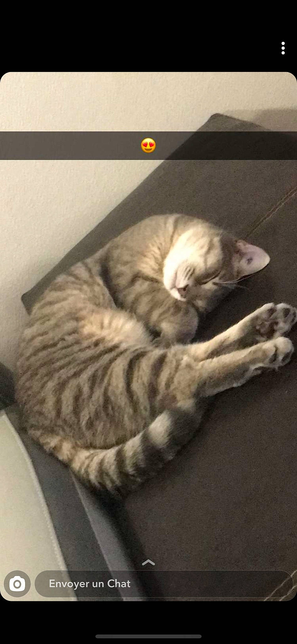 Mr Pooky Et Piétra participe au concours pour gagner de l'argent avec cette photo : american_shorthair, carnivore, cat, cat_bed, domestic_short_haired_cat, egyptian_mau, european_shorthair, fawn, felidae, fur, kitten, nap, sleep, small_to_medium_sized_cats, tabby_cat, tail, whiskers