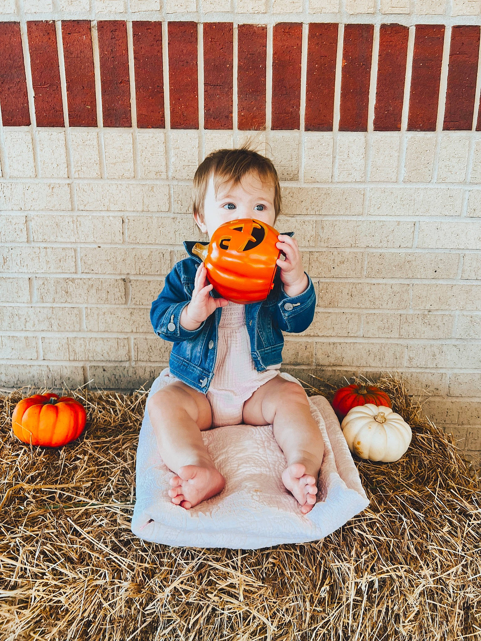 Lilia is registered to the contest to win money with this photo: art, bathing, brick, calabaza, child, cucurbita, doll, fun, gourd, grass, happy, leisure, mammal, natural_foods, orange, people_in_nature, person, pumpkin, sitting, toy