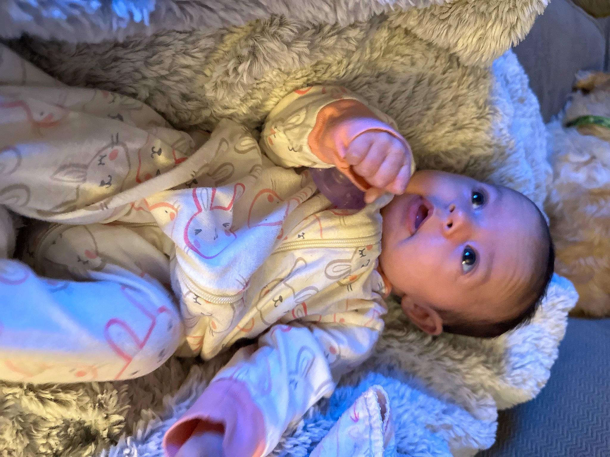 Kaiden joined the competition — help win amazing prizes! baby, baby_toddler_clothing, cheek, child, comfort, eye, fun, fur, hairstyle, head, human_body, linens, mouth, nap, nose, person, sitting, skin, tail, toddler