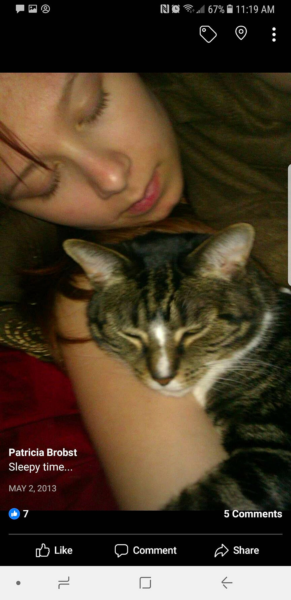 Minnie Moo Moo is registered to the contest to win money with this photo: asian, carnivore, cat, domestic_short_haired_cat, ear, european_shorthair, eye, felidae, fur, kitten, mouth, nose, person, photo_caption, small_to_medium_sized_cats, smile, whiskers