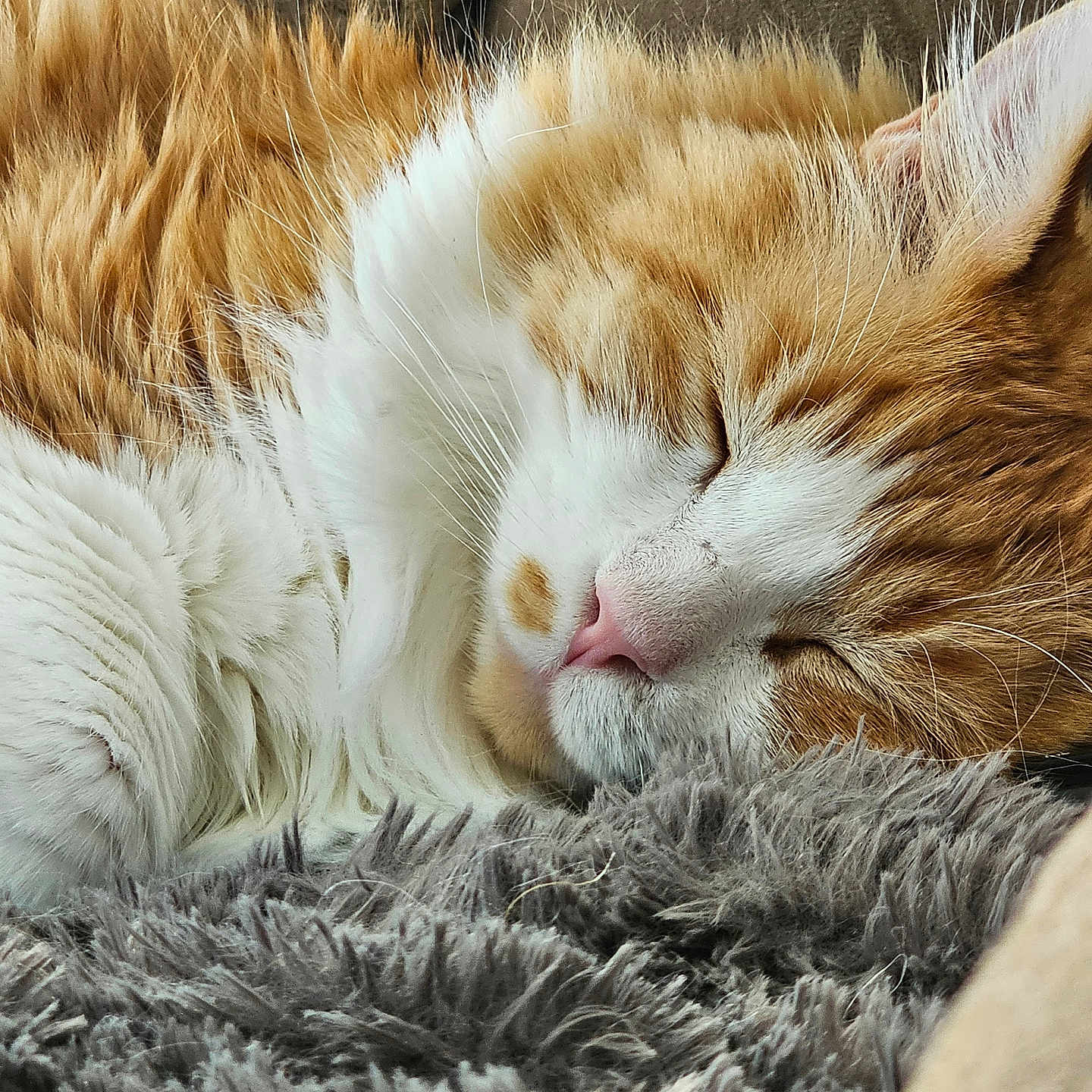 Ezekiel