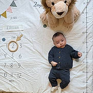 Zayd participe au concours pour gagner de l'argent avec cette photo : baby, infant, plush_lion, milestone_blanket, numbers, growth_chart, wooden_ring, knit_sweater, pants, socks, carpet, floor, laying_down, cute, indoor, child, portrait, soft_toys, baby_milestone, home